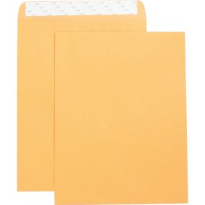Business Source Self Adhesive Kraft Catalog Envelopes