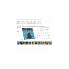 House of Doolittle Wildlife Photo Desk Top Tent Calendars